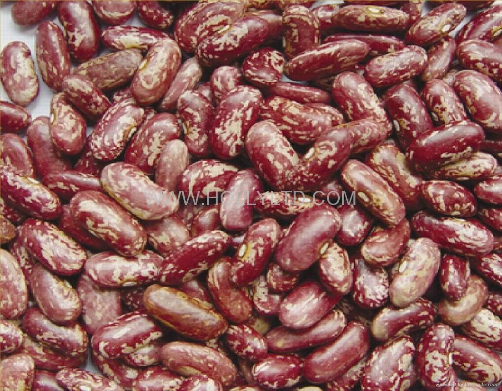 Red_speckled_kidney_bean